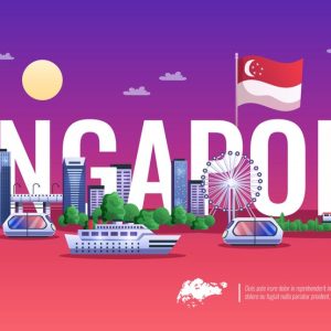 local transportation (per trip)